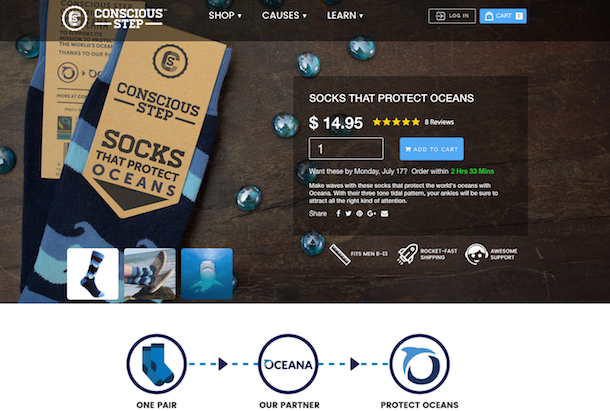 Conscious Step Product Landing Page